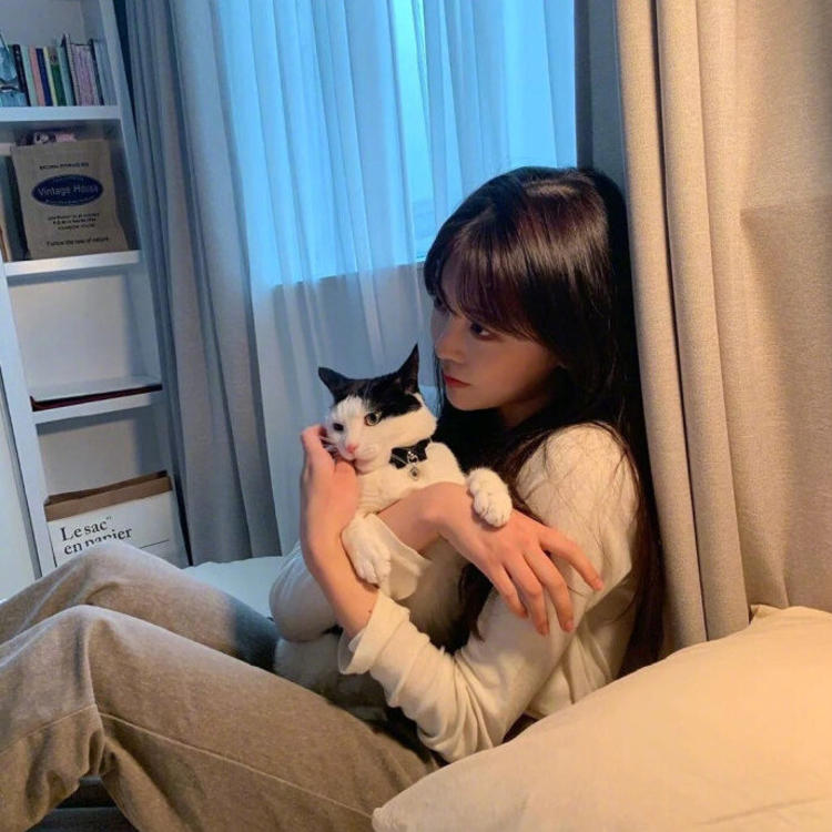 有福正志（饰 汉方医） - 猪蜜蜜电视剧大全在线观看11 - 平板观看